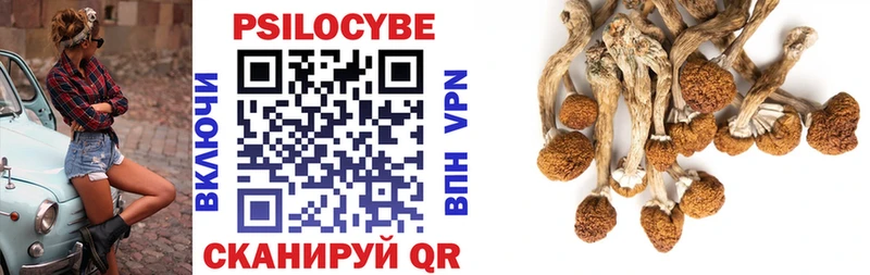 Псилоцибиновые грибы ЛСД  Пудож 