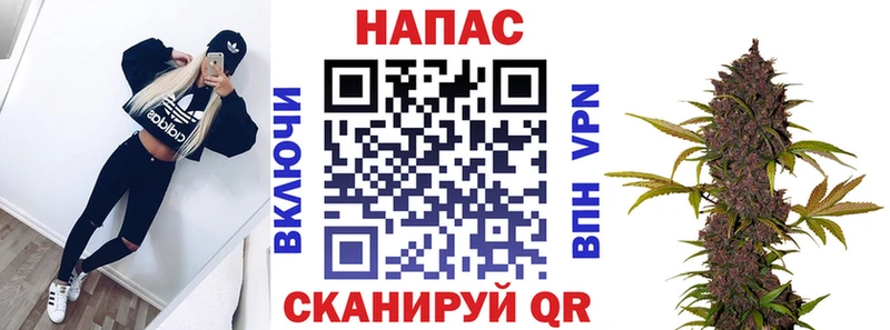 как найти закладки  Пудож  Бошки Шишки сатива 